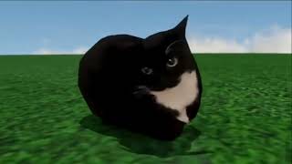 Upscaled Video Maxwell Cat Dancing 1m [HD] [4K]