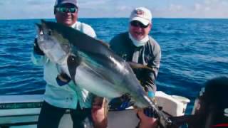 Highlight Reel - Tuna & Sailfish in Costa Rica | ZANCUDO LODGE