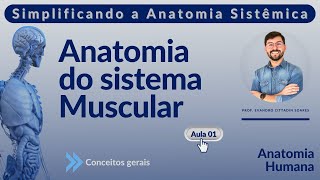 Sistema muscular - Aula 01 - Conceitos gerais - "degustação do curso