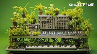 Synth Bloom: : Relaxing Organic Soundscapes [ EXPERIMENTAL AMBIENT MUSIC 1 Hour]