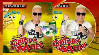 CINTURA DE MOLA NA PISADINHA 2019 - CD OLHA ELA