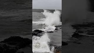 Kokan Beach😳#konkan #shorts #viralvideo #travel