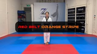 Red Belt - Hand Tech. Half Mountain Block - Orange Stripe