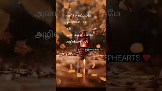 அன்பு ஒருபோதும் அழிவதில்லை#love#shorts #trending#status #video #short #tamil#kavita