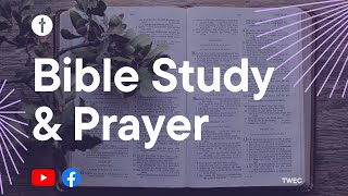 Bible. Study & Prayer