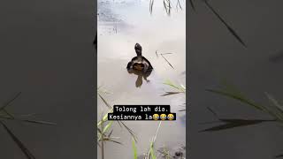 Suara teman yang terjerat masalah