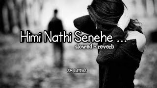 Himi Nathi Senehe ( හිමි නැති සෙනෙහේ ) 🙂💔 | Slowed + reverb | SM BETAS