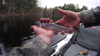 Fly Fishing for Brook Trout On a Small Pond in Maine