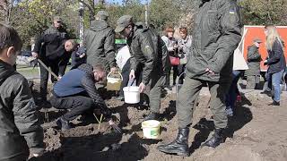 В Херсоне высадили розы в память павших воинов