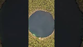 High Above Captain Bill's Blue Hole.  #bluehole #andros #bahamas #djimini4pro