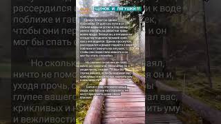 🦉 Психология мотивации, цитаты, саморазвитие, философия