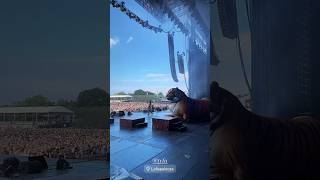 TYLA - WATER "AT #LOLLAPALOOZA"