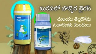 Top 7 Best Insecticides for Whiteflies control || TFS Sagubadi #suryabhaskar