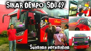 SUASANA KEBERANGKATAN BUS ANGKATAN PAGI SINAR DEMPO AGEN PENDOPO ‼️ SINAR DEMPO SD049