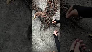 Eagle painting fromtree leaves you won't belive your eyes                              #eagle #short