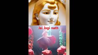 शामा तेरे ही भरोसे मेरा परिवार है# Jaijoginath#shortvideo