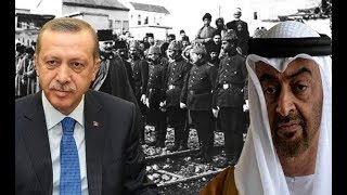 أردوغان لوزير خارجية الإمارات: أين كان جدّك أيها البائس؟ عليك أن تعرف حدودك!