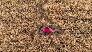 Aerial view of woman lying in the field of wheat