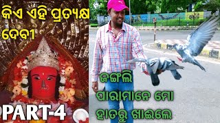 Ghanteswari Temple | Street Food Odisha |Suryavlogs