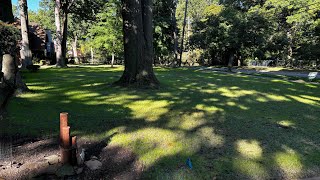 1 Week Later: Watch the Grass Grow After HydroSeeding!