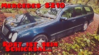 Mercedes W210, wie viel Rost hätten sie gerne?