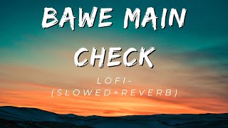 Bawe Main Check - Lofi(Slowed+Reverb) | King And Raga | Mm