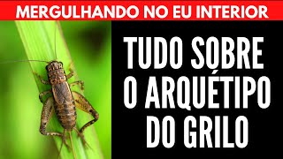 TUDO SOBRE O ARQUÉTIPO DO GRILO 🦗 | Will Nascimentto