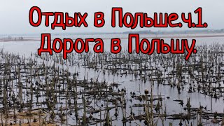 Поездка в Польшу. ч1. Едем через  болота и острова.