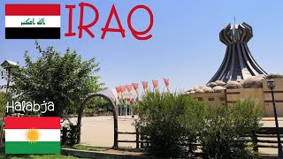 IRAQ 11 – Halabja, città martire (with English subtitles!)