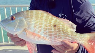 Dangerous Hurricane makes landfall.left to the Florida Keys. Evacuated so I went Fishing! #subscribe