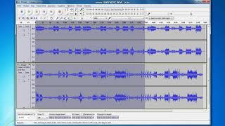 Программа Audacity. Работа с аудиотреками.