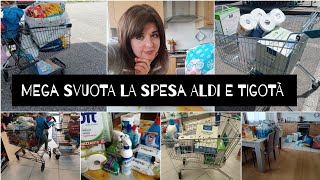 MEGA SVUOTA LA SPESA ALDI E TIGOTÀ