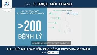 LƯU TRỮ TẾ BÀO GỐC CHỈ TỪ 3 TRIỆU ĐỒNG/THÁNG TẠI CRYOVIVA VIETNAM