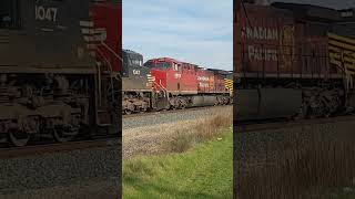 Norfolk Southern 8104 and 8100 lead. NS 303