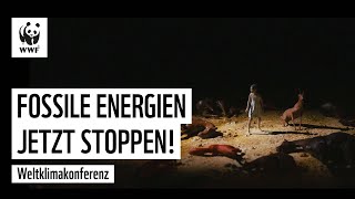 JETZT Förderung fossiler Energien stoppen! COP28