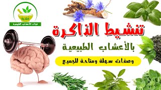 6 أعشاب طبيعية تنشّط الذاكرة وتعزّز التركيز | قل وداعًا للنسيان وعدم التركيز مع هذه الأعشاب