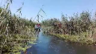 [Romania] Boat trip in the Danube Delta (2/5)