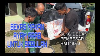 ANAK AYAM ARAB MAKAN KUAT, BUAT BEKAS MAKAN LAGI BESAR