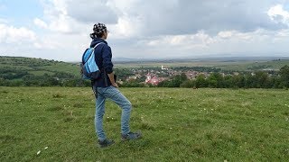 Coral fosilizat-Cum arata tara noastra cu milioane de ani in urma