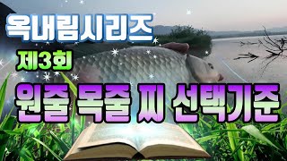 옥내림 목줄 원줄 찌의 선택 고려사항[옥내림시리즈3화]