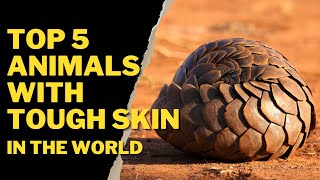 TOP 5 ANIMALS WITH TOUGH SKIN IN THE WORLD