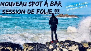 NOUVEAU SPOT à BAR : SESSION de PÊCHE FABULEUSE !!!