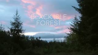 Scotland: Forest teaser