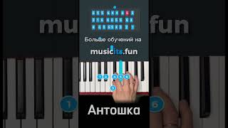 Как играть «Антошка» 👦🥔 на #пианино 🎹 по цифрам 👆 новые видео каждый день-подпишись ✅ #shorts