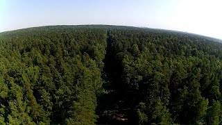 Полёт над заброшенной железной дорогой.