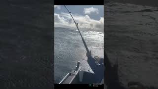 MATTY HUNT CATCHES THE BIG TUNA FOR HIS CLIENTS #youtube #viral #trending #fishing #boat