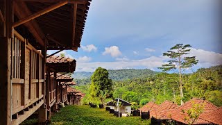 Rajendra Farm Yogyakarta//kandang domba serasa homestay