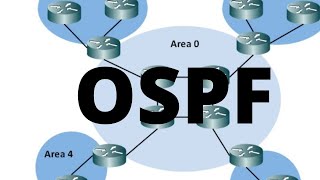 Open Shortest Path First (OSPF )