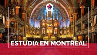 Estudia en Montreal