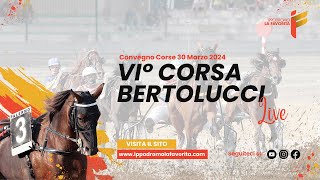 Live VI° Corsa del 30 Marzo 2024 - 5 Anni ed oltre - Metri 1600